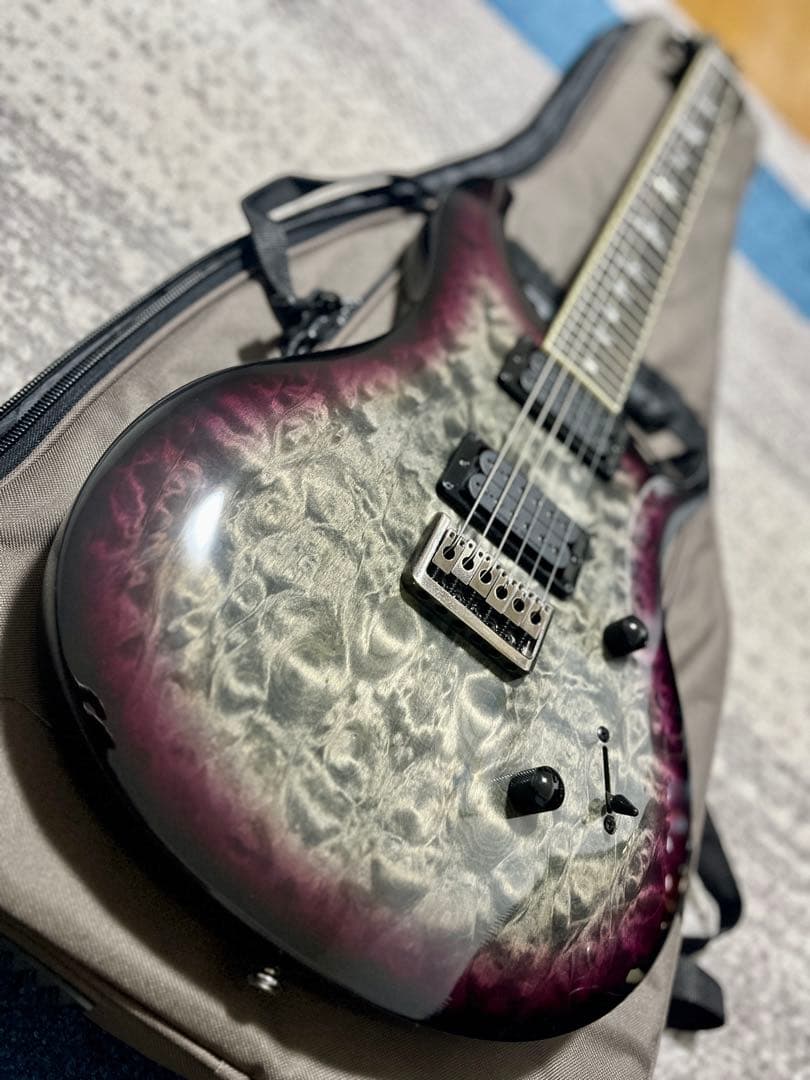 ギター PRS SE Mark Holcomb