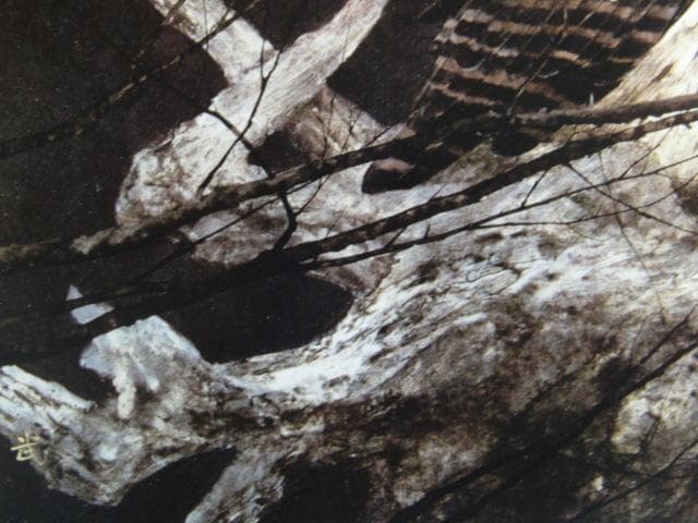 石田武、【梟】、希少な額装用画集より、新品額装付、状態良好