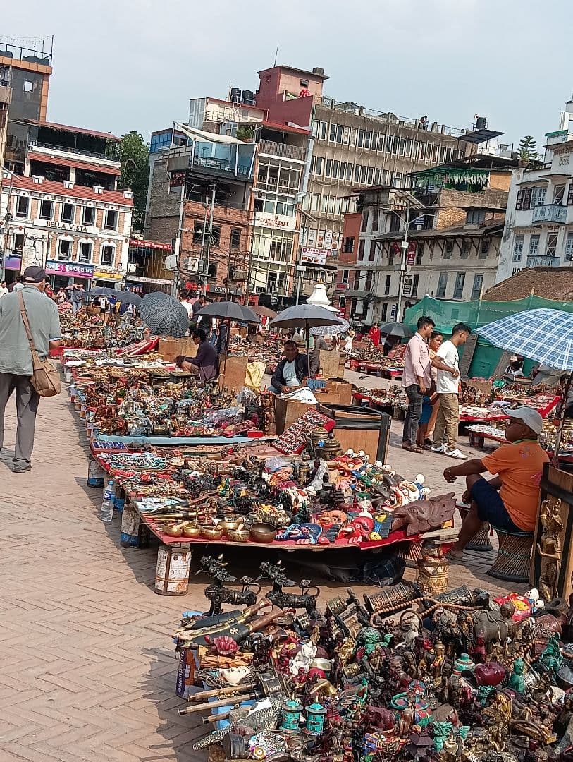 ネパールムクチナート産出。黒色アンモナイト化石 大きいサイズ(希少）