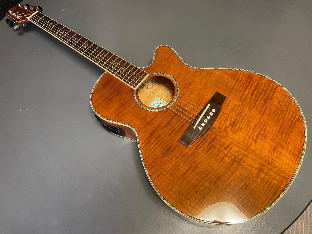 ギター Takamine Cooder TCP-560VB