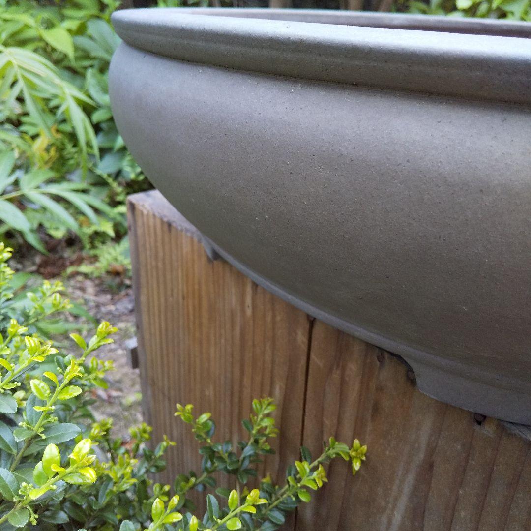 常滑焼 盆栽鉢 松柏類 大品『松下陶園』泥鉢 泥物 外縁 小判 隅入 袋形 切足