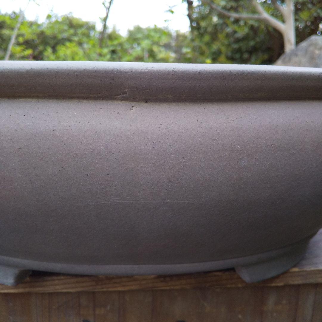 常滑焼 盆栽鉢 松柏類 大品『松下陶園』泥鉢 泥物 外縁 小判 隅入 袋形 切足