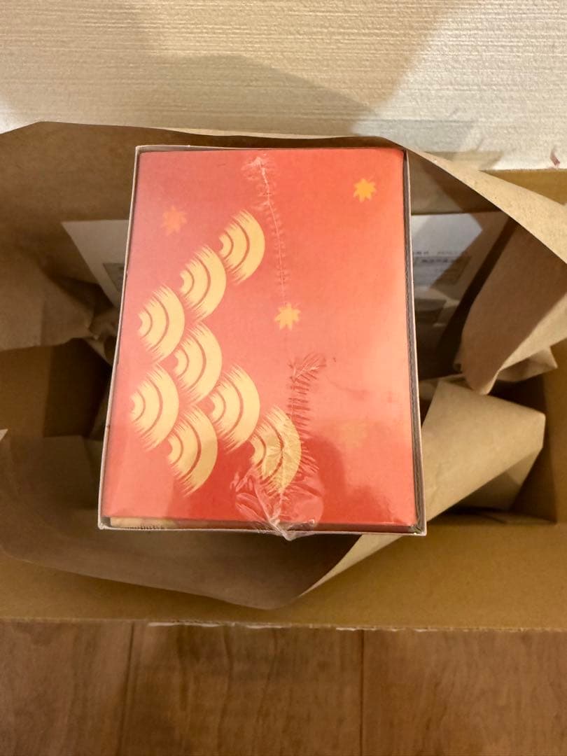 【新品未開封】ポケモンセンター ヒロシマ　スペシャルボックス