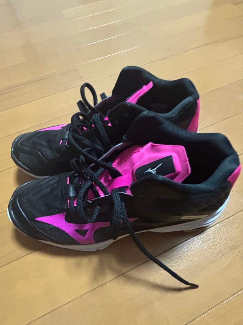 ミズノ　バレーボールシューズ　25cm