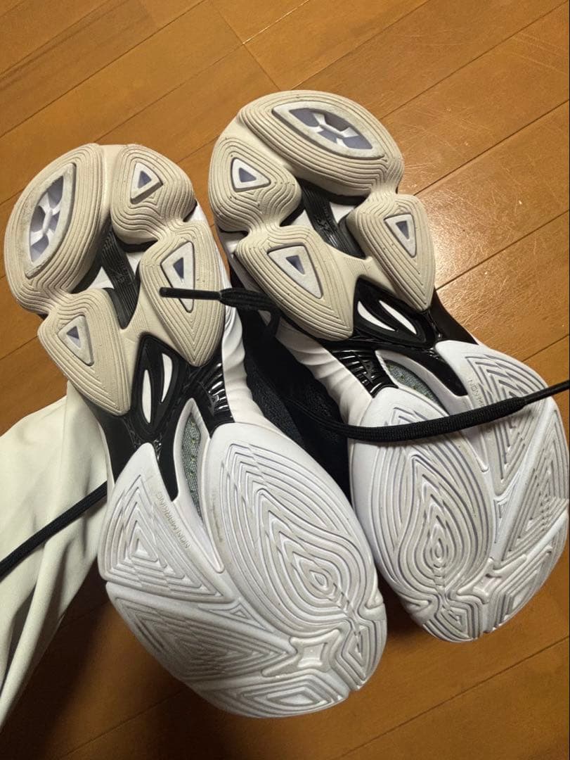 ミズノ　バレーボールシューズ　25cm