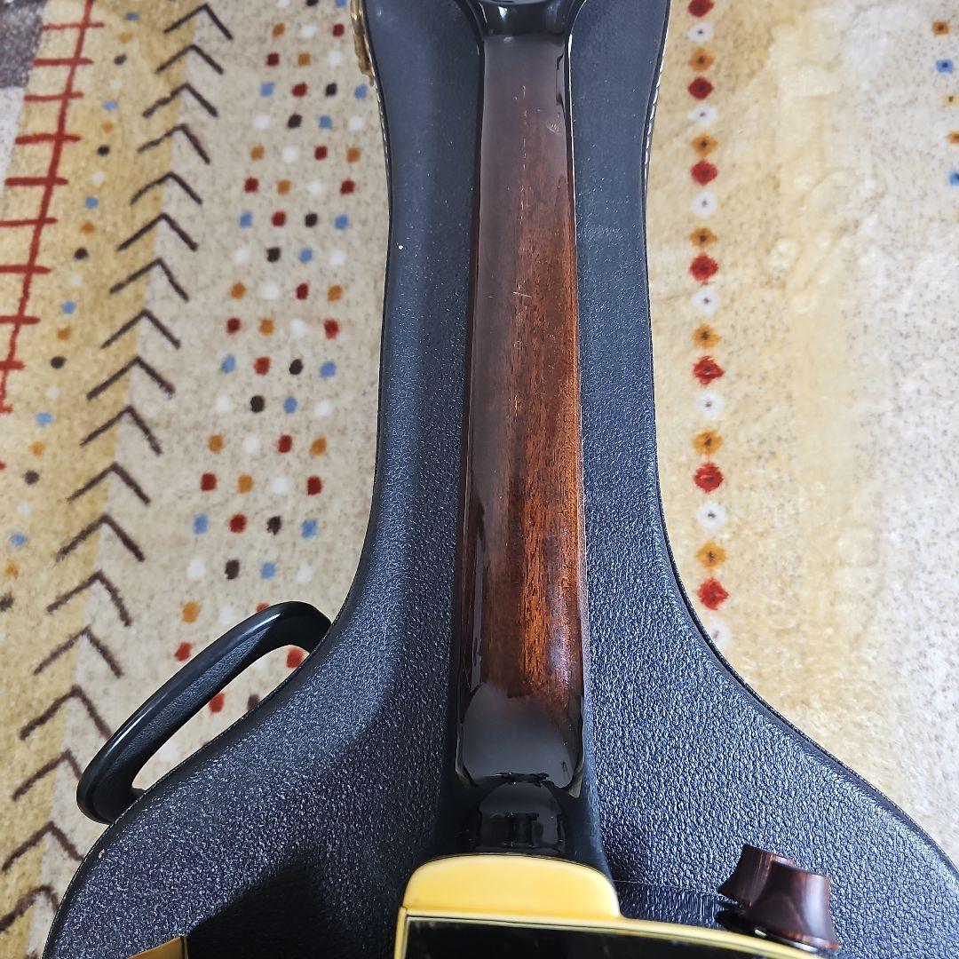 Aria.Elecod.FE-S80エレアコ珍品。