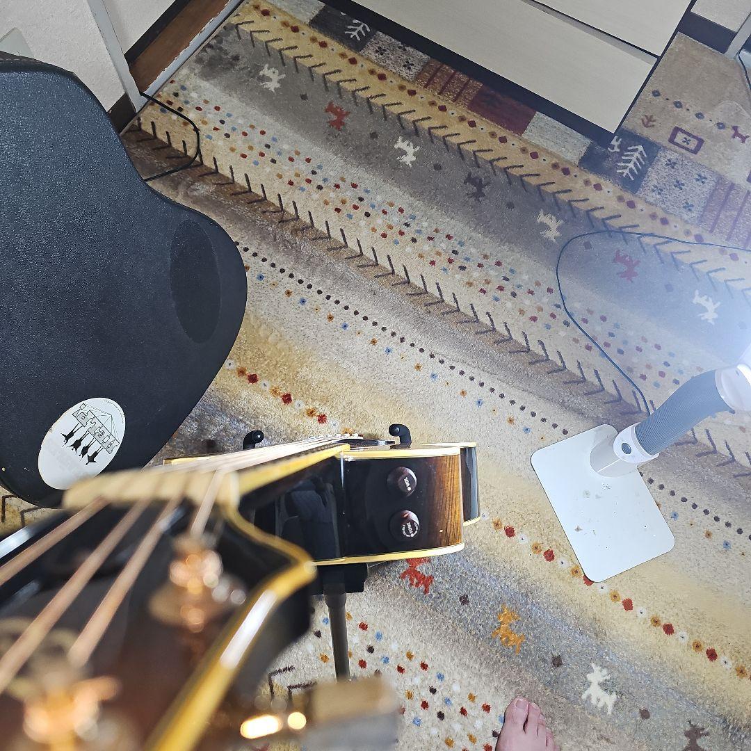 Aria.Elecod.FE-S80エレアコ珍品。