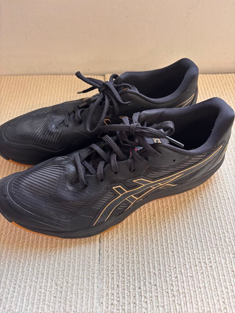 【daifuki】アシックス バレーボールシューズ ROTE JAPAN