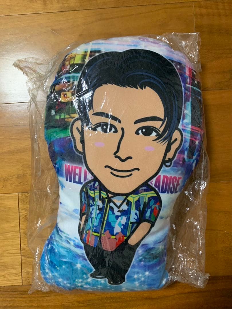 【出回りなし】長谷川慎 クッション w2p