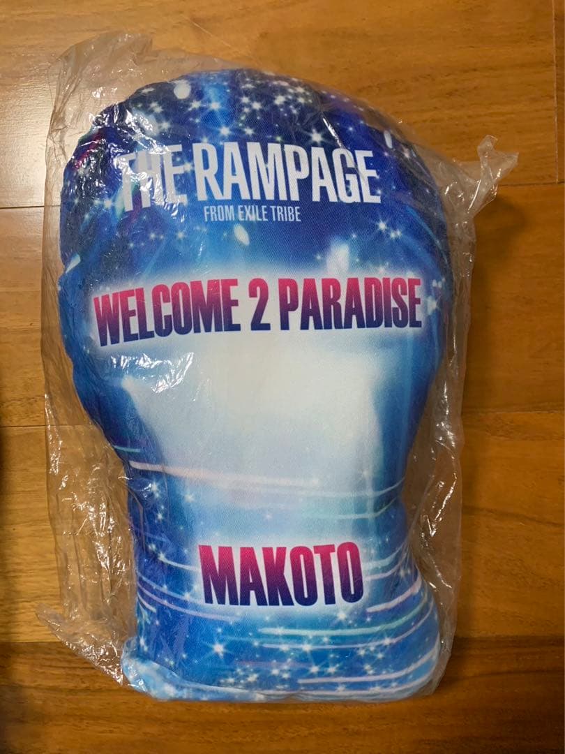 【出回りなし】長谷川慎 クッション w2p