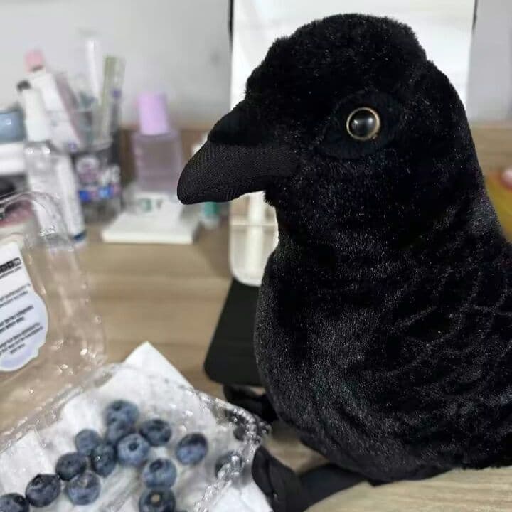 黒いカラスのぬいぐるみ