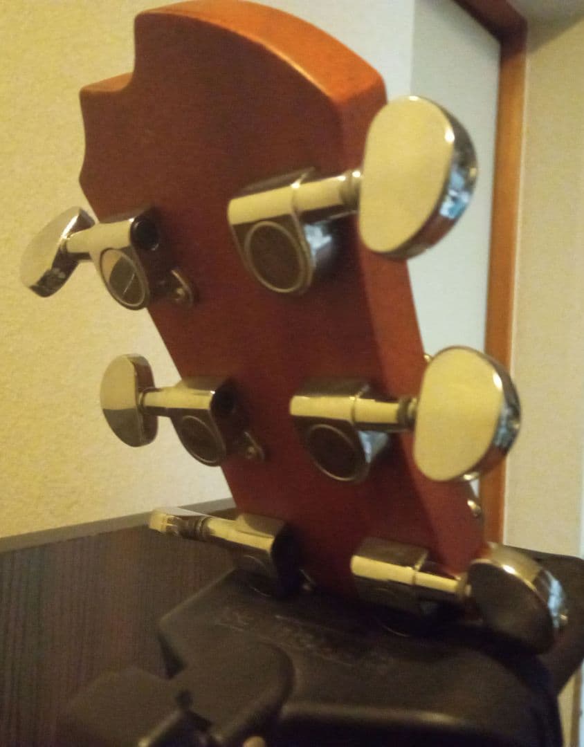 【初心者オススメ】JAMES Ｊ-300A　アコースティックギター＆良いケース