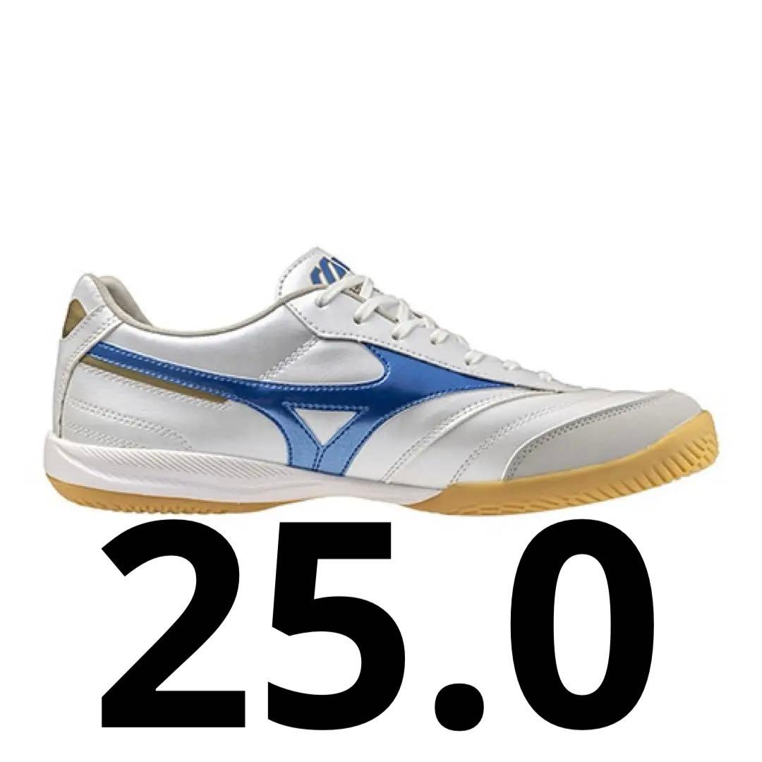 MIZUNO モレリアサラ PRO IN