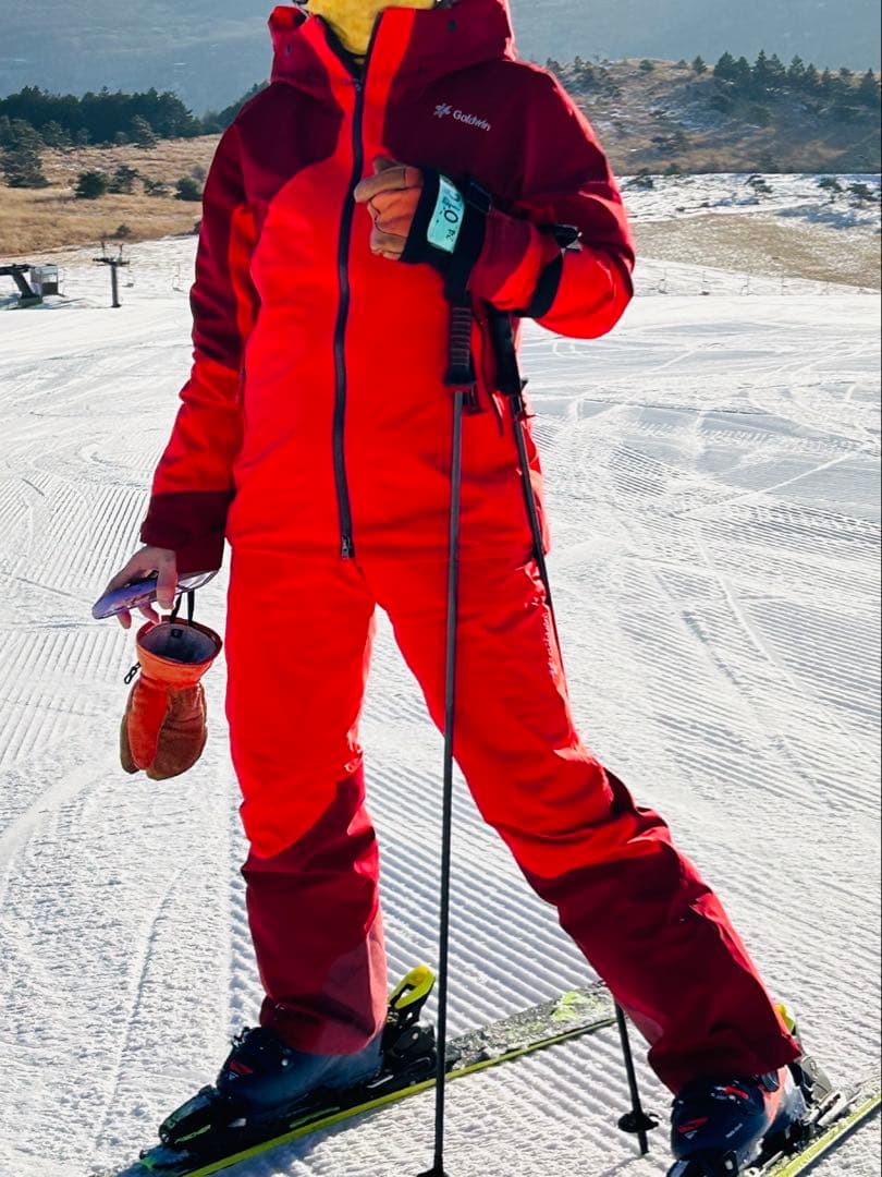 ゴールドウィン スキーウェア上下　レディースL