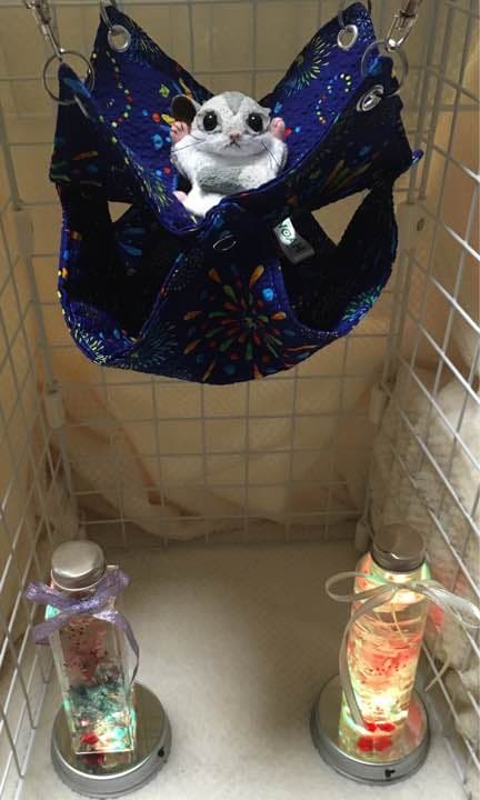 モモンガハウス(花火・蛙)青  夏仕様  涼しい夏生地を使用❗️1650円