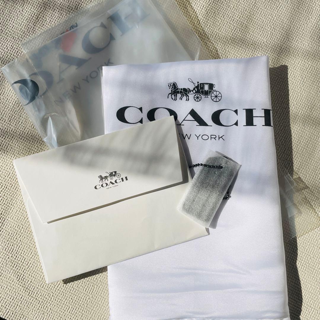 タグちぎれ 新品 COACH イーサン パック・シグネチャー CO910