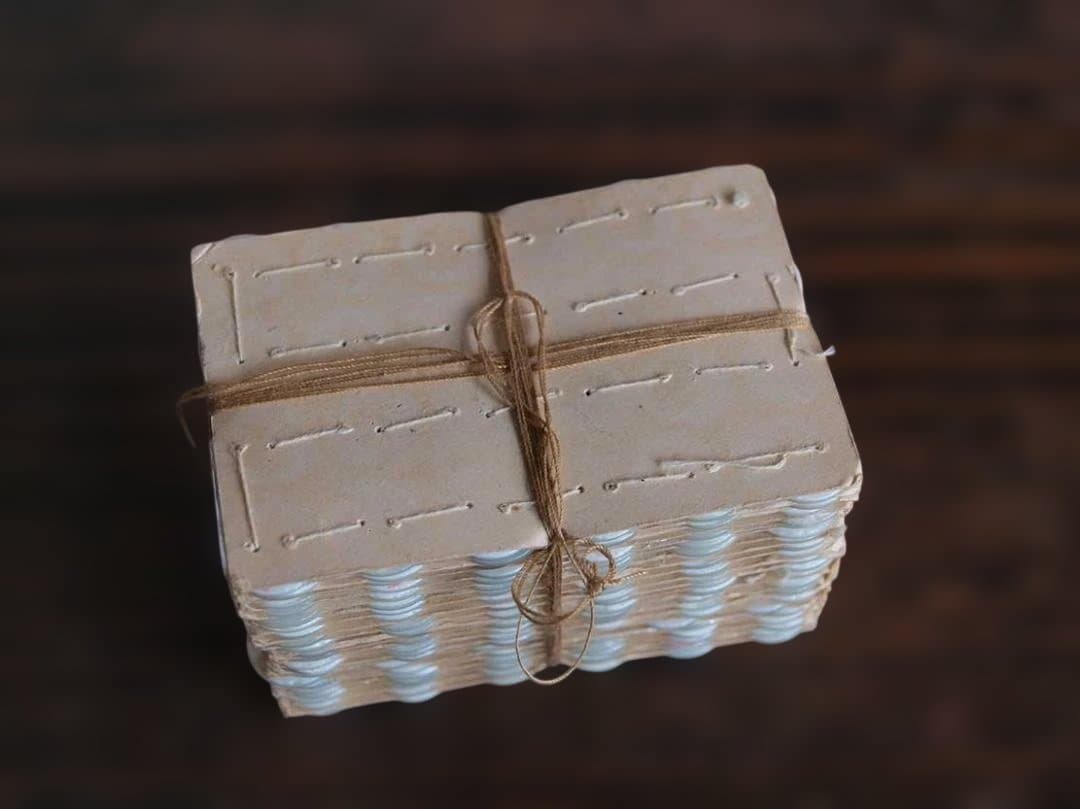 未使用シェルボタン 12mm 528個 貝ボタン マザーオブパール手芸/J889