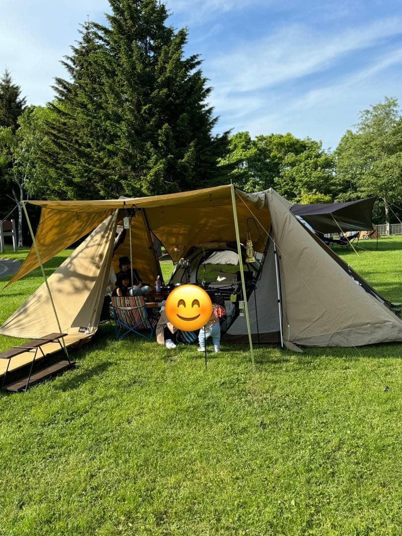 オガワ　ツインクレスタTC フルインナー 二又フレーム 跳ね上げポール2本