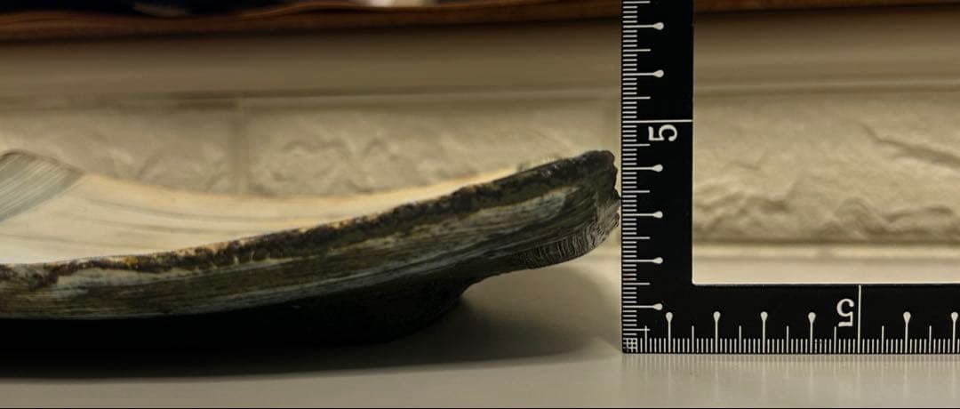 ココチ舎 Cocochiya（市野雅利）　角皿2枚組 インディゴ24cm 丹波焼