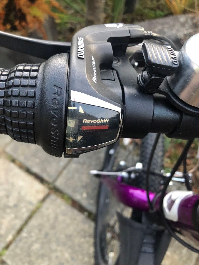 ルイガノジュニア22インチ　現行モデル