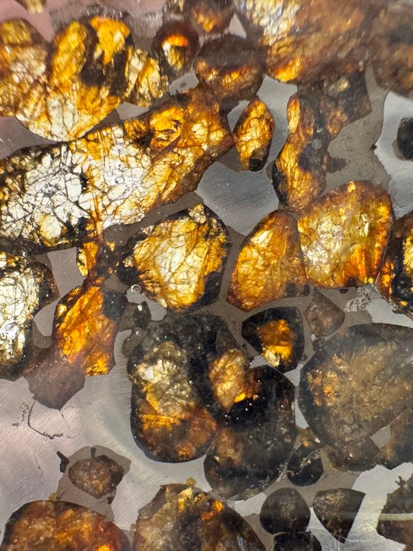 セリコ　パラサイト隕石　高品質　スライス標本　7.6g メテオライト　宇宙パワー