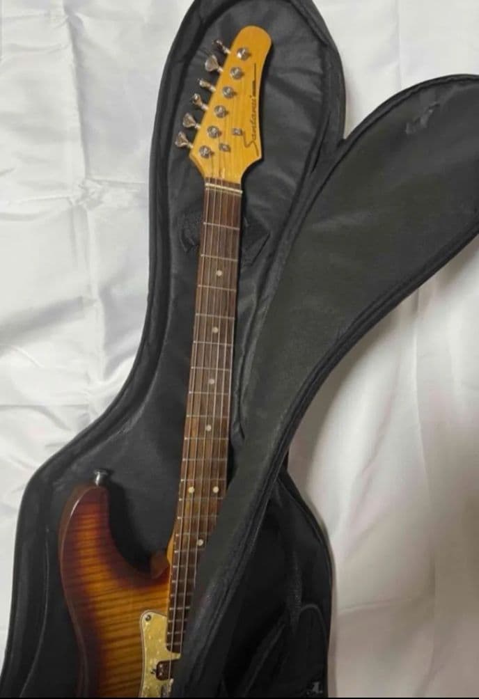 【珍品・激レア】Santanu Pro 光るギター