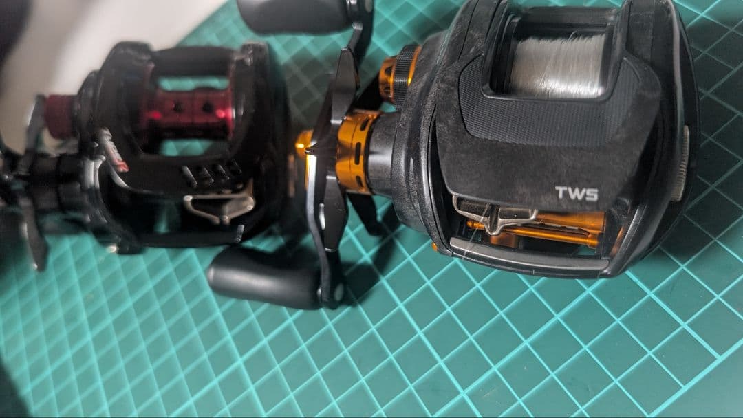 バラ売りなし タトゥーラ T3 カルカッタ