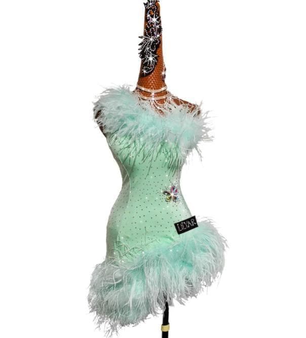 社交ダンスドレス 新色 ラテンワンピースドレス 豪華 羽スカート オーダーメイド