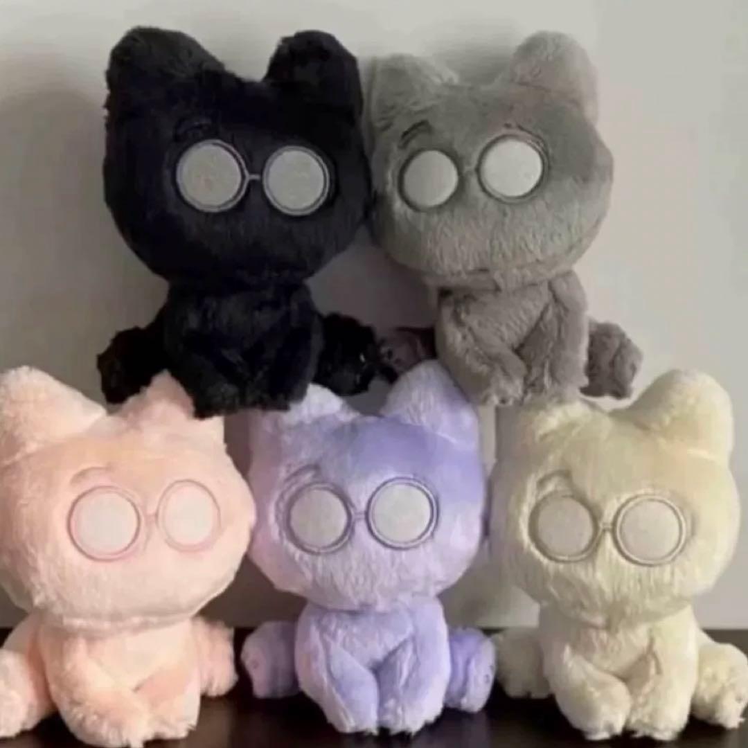 ウォヌ 10cm ぬいぐるみ　新品　マスター　セブチ　svt