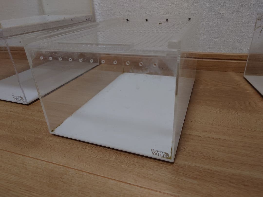 三晃商会 レプタイルボックス5個セット