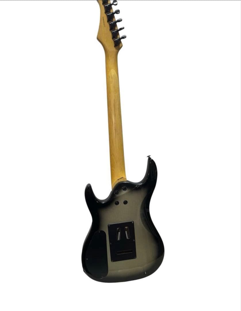 最終価格Aria Pro II MAGNAシリーズ エレキギターピック　ケース付