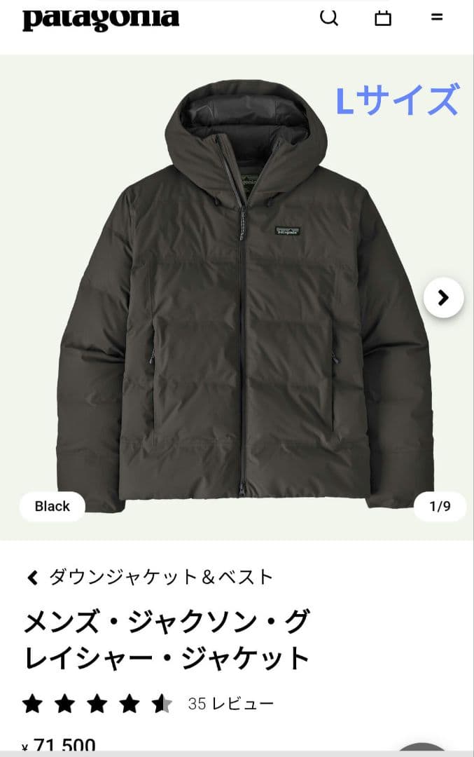 Patagonia メンズ ジャクソン　グレイシャー　ダウンジャケット Lサイズ