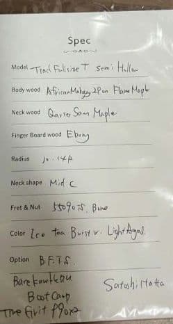 ギター Infinite Trad fullsize T semi hollow