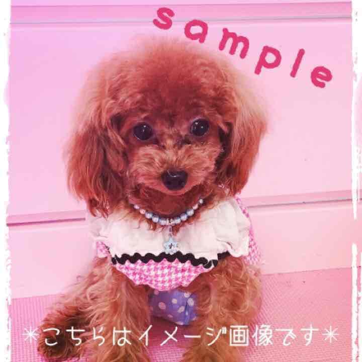 売り切れ。犬用ネックレス ドッグアクセサリー 首輪