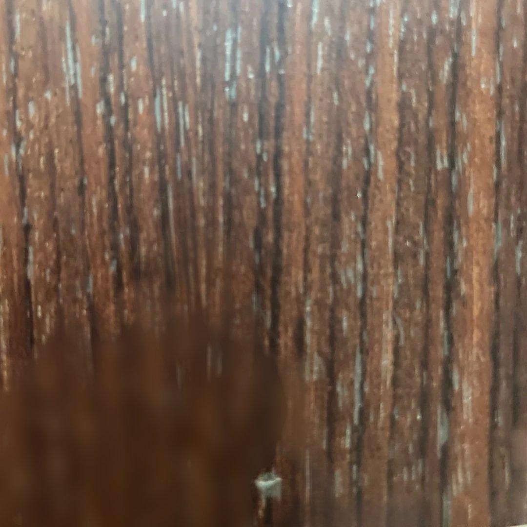 Taylor 214ce アコースティックギター エレアコ