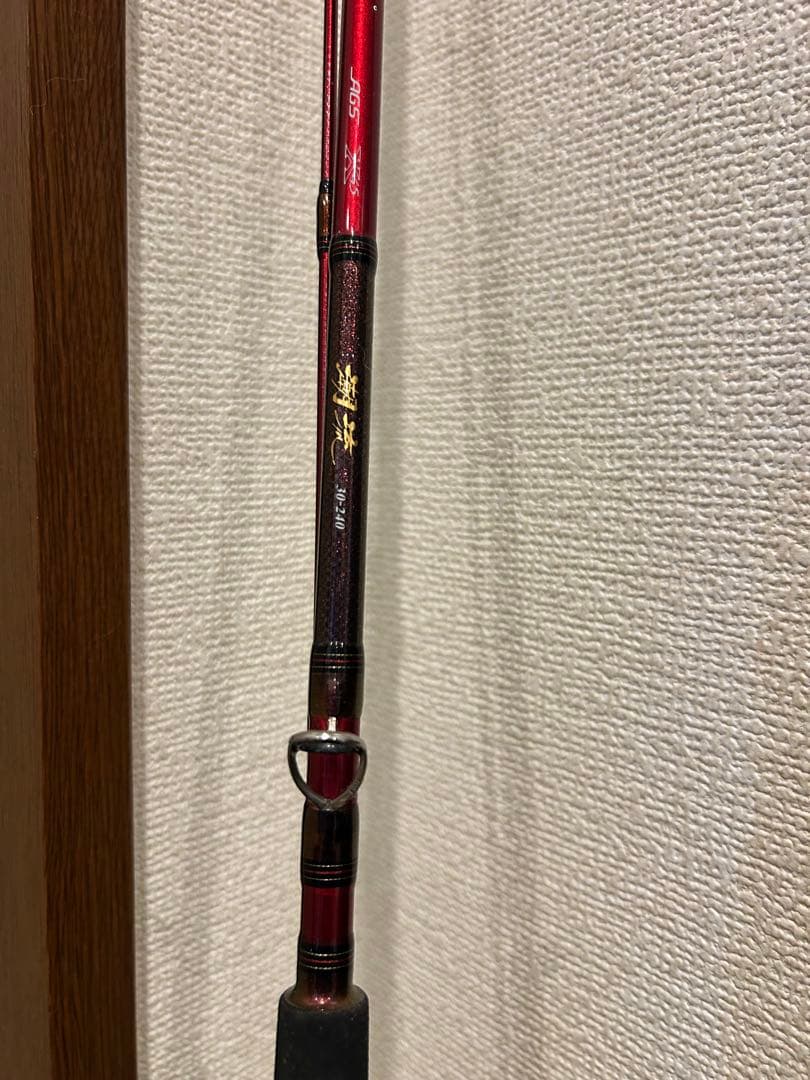 ダイワ 潮流 30-240