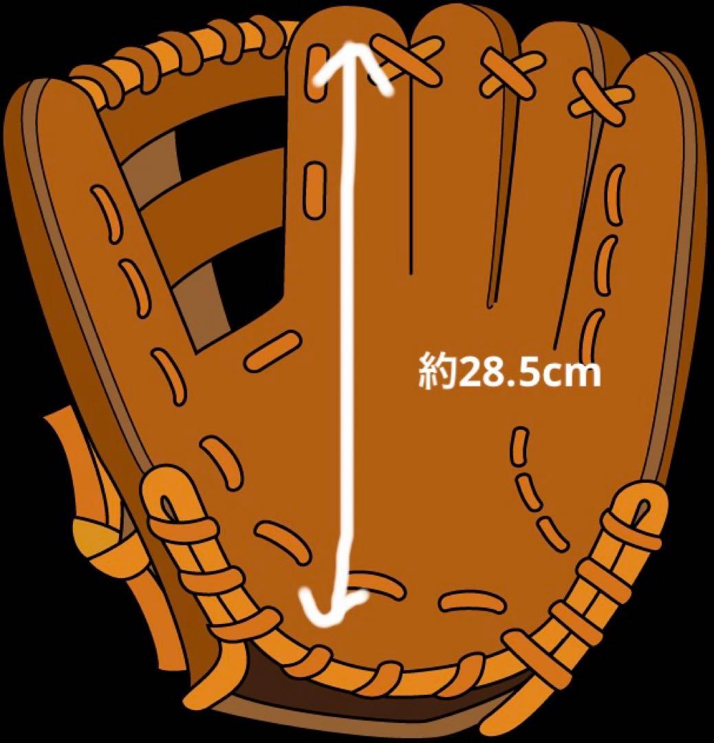 ミズノプロ　硬式内野手用グローブ　Mマーク　旧タグラベル