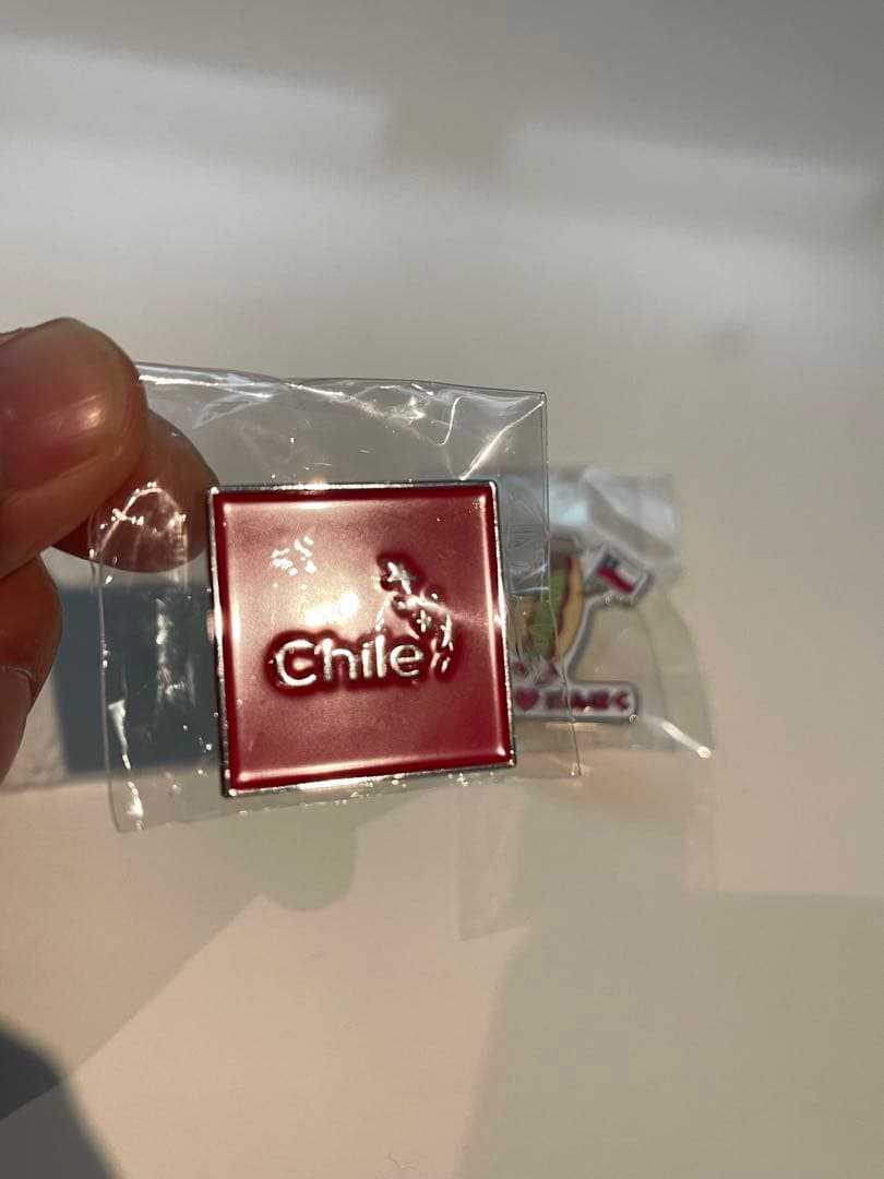 EXPO 2025 万博非売品ピンバッジセット（チリ×日本）