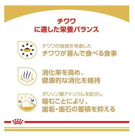  CANIN チワワ専用ドライフード 12kg