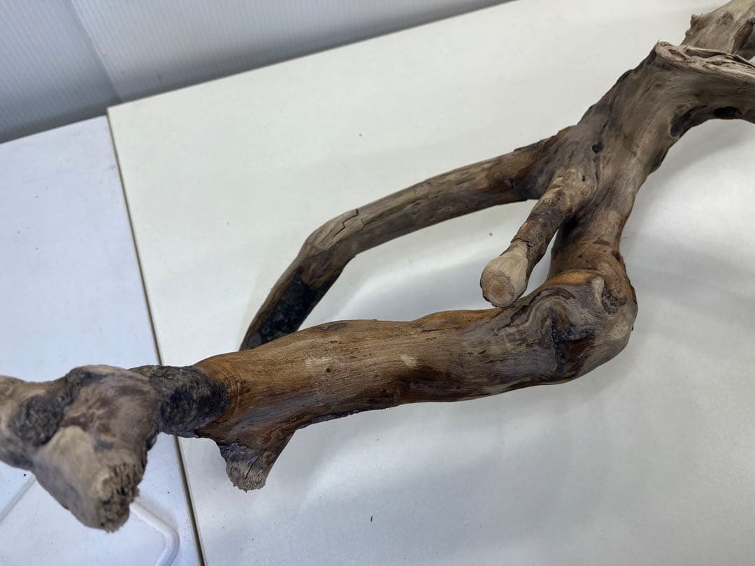 k36特大流木 アク抜き済み 爬虫類シェルター レイアウト用 登り木 インテリア