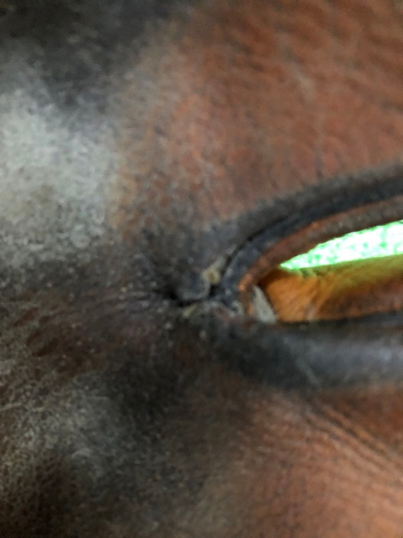 久保田スラッガーKSG-SPH外野手