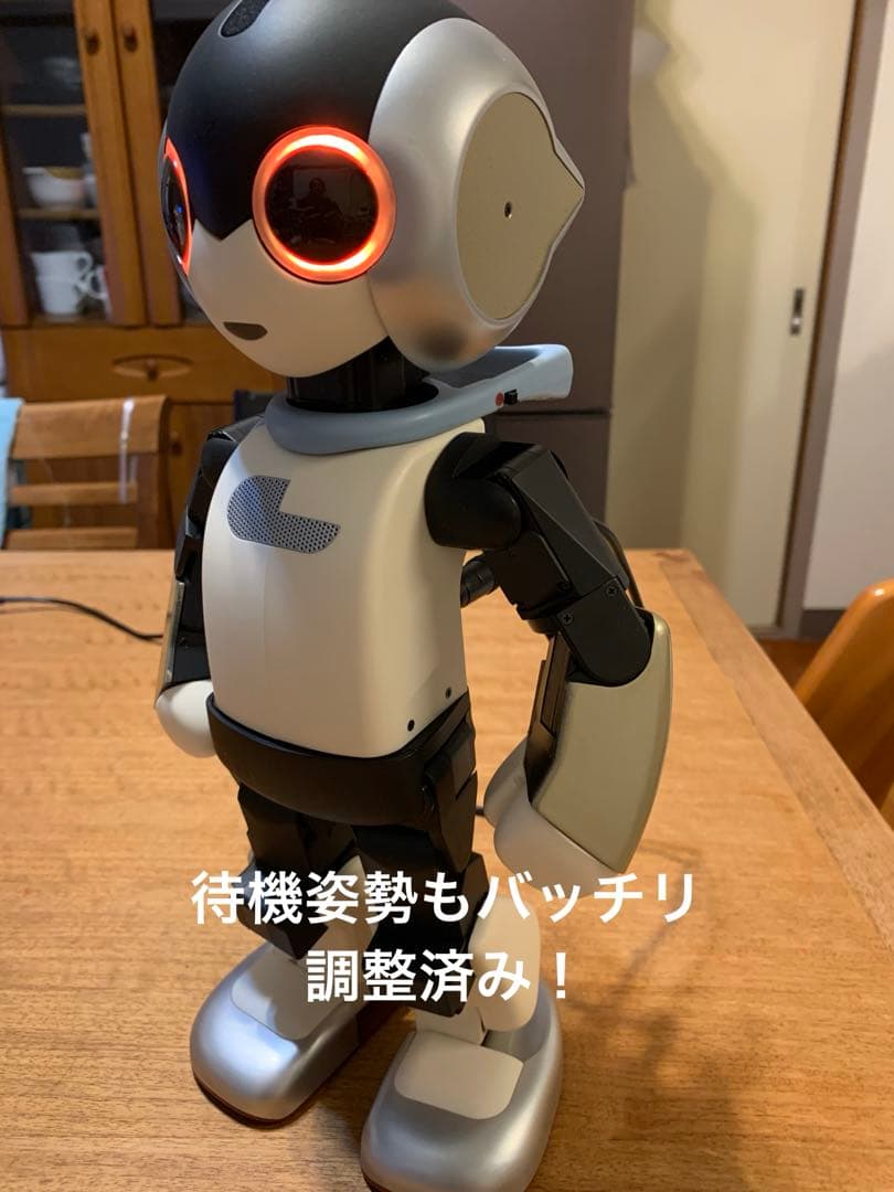 色替えRobi ロビ 2DX版　完動品　オーナー愛称登録してお譲りします。