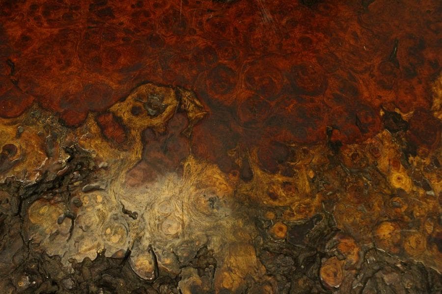 葡萄木 自然木 瘤 敷板 78cm×56cm 花梨 紅木 銘木(A466)