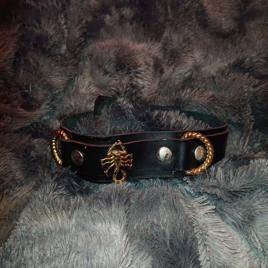 紅蠍様　本格バラ鞭＆首輪セット　激レア!!!