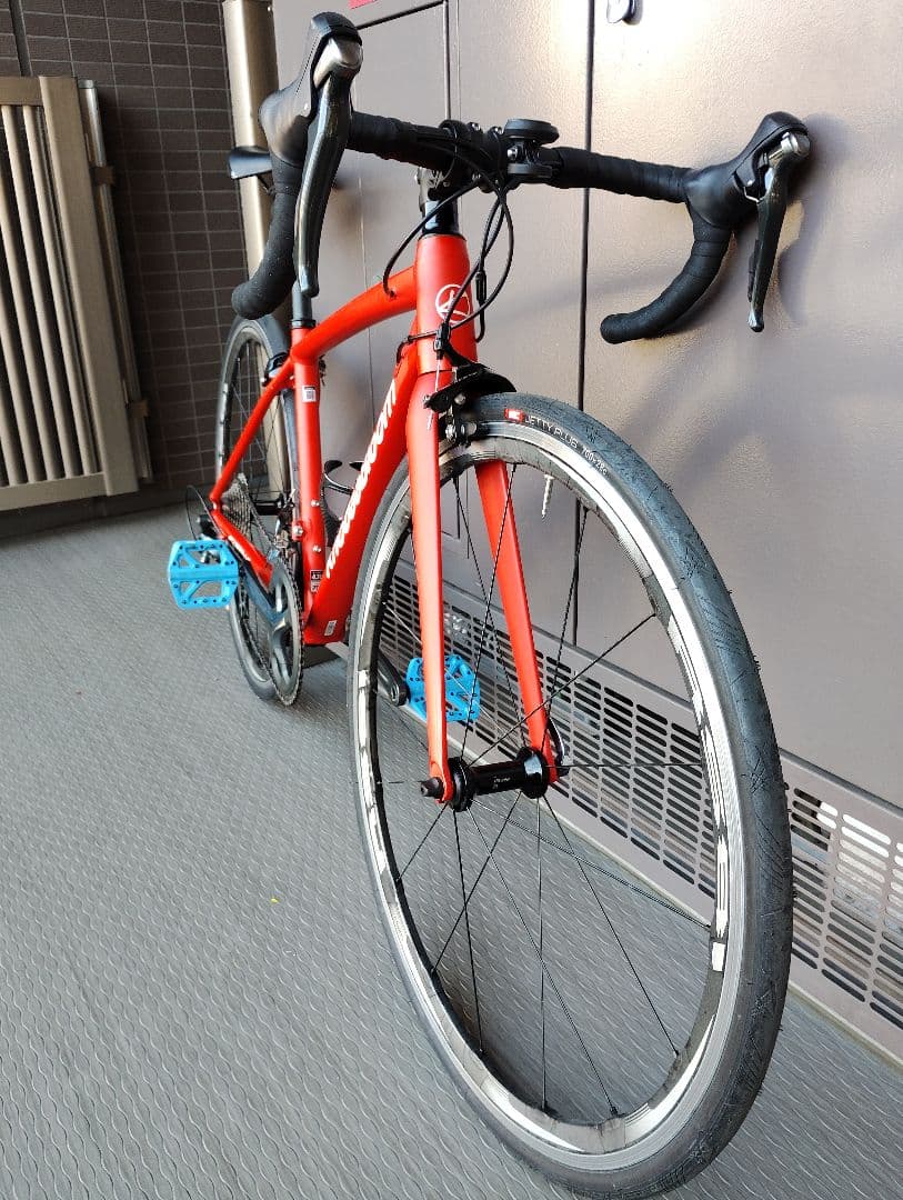 KhodaaBloom FARNA TIAGRA　コーダブルーム　ファーナ