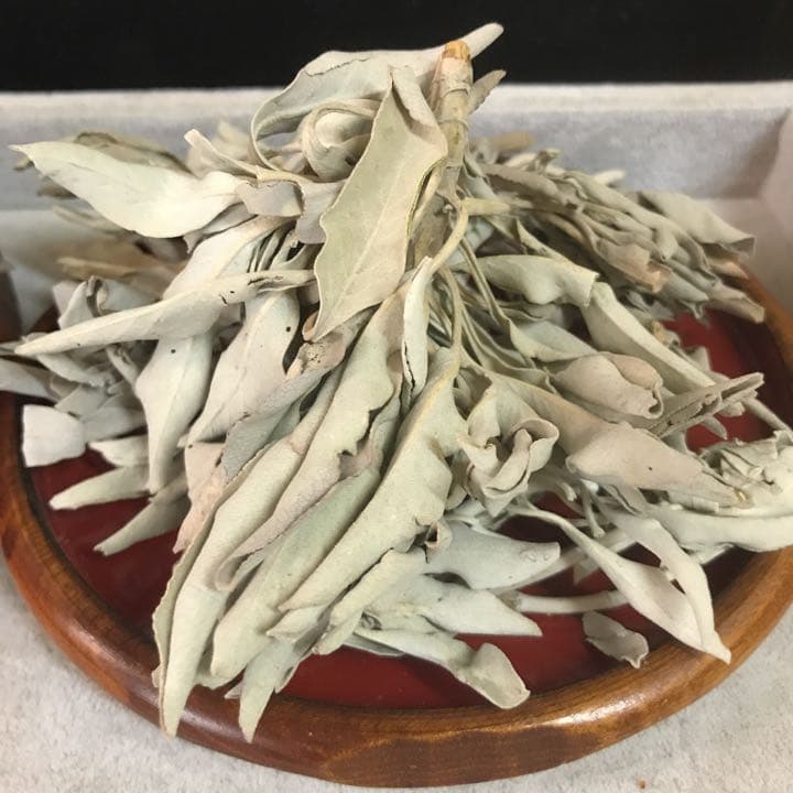 ★限定特選品★無農薬カリフォルニア産【５０g 高品質ホワイトセージ】❤️