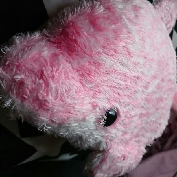 いるかのぬいぐるみです。