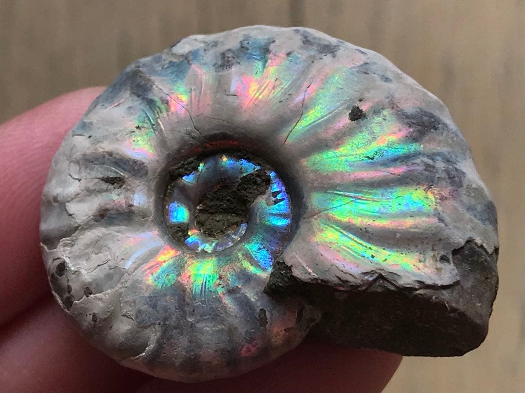 taro様 リクエスト 7点 まとめ商品