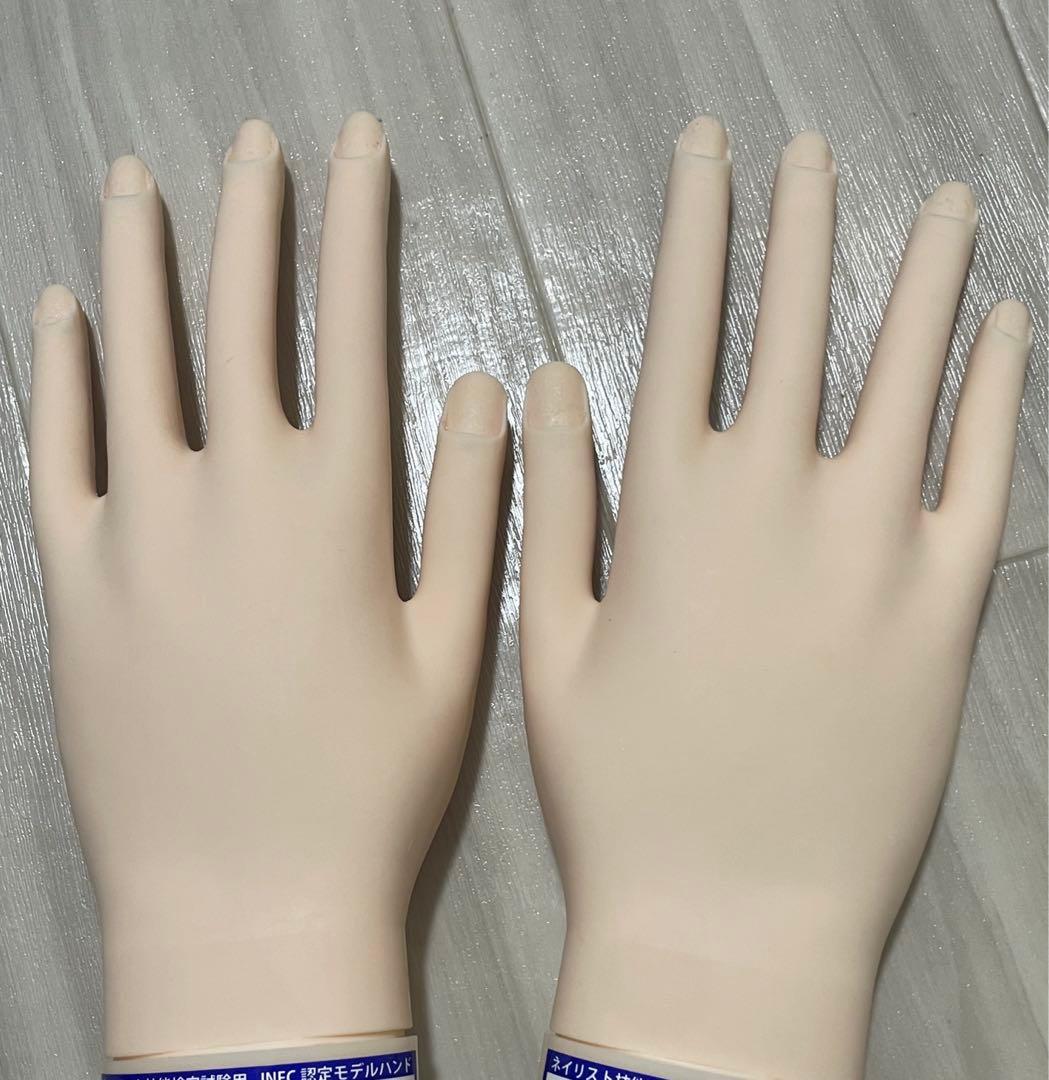 【最終値下げ】JNEC 認定モデルハンド(箱付き)