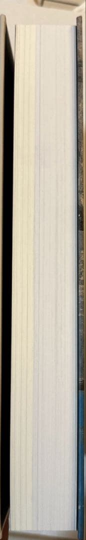 図録　松本俊介 回顧展 2020年　絶版